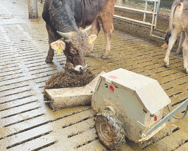 Stallreiniger - SP 94 im Einsatz